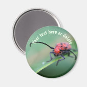 Aimant Red Bug With Attitude Nature Personalized (Recto/Verso)