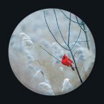 Aimant Red Cardinal dans Winter Nature Photo de Christmas<br><div class="desc">Un aimant avec une photo nature pittoresque avec un cardinal rouge vif. Contrasté par rapport à un arrière-plan hivernal extérieur avec la neige tombant doucement vers le bas.</div>