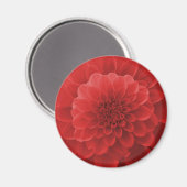 Aimant Red Dahlia (Recto/Verso)
