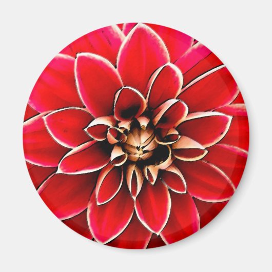 Aimant Red Dahlia, art numérique (Devant)