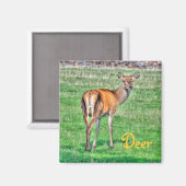 Aimant Red Deer & Field Wildlife Animal Design (Recto/Verso)