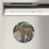Aimant Red Fox Standing (In Situ (Lave-vaisselle))