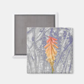Aimant Red Hot Poker (Recto/Verso)