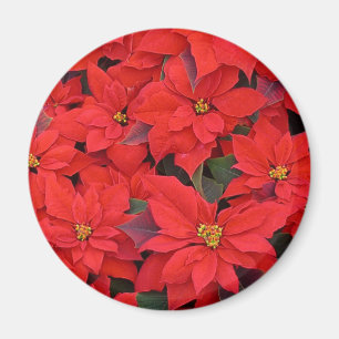Aimant Red Poinsettias I Christmas Holiday Floral Photo