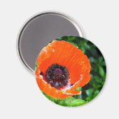 Aimant Red Poppy (Recto/Verso)