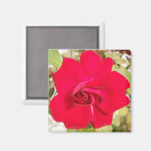 Aimant Red Rosy (Recto/Verso)