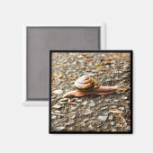 Aimant Red Snail on the Ground (Recto/Verso)