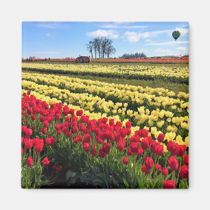 Aimant Red & Yellow Tulip Field with Hot Air Balloon