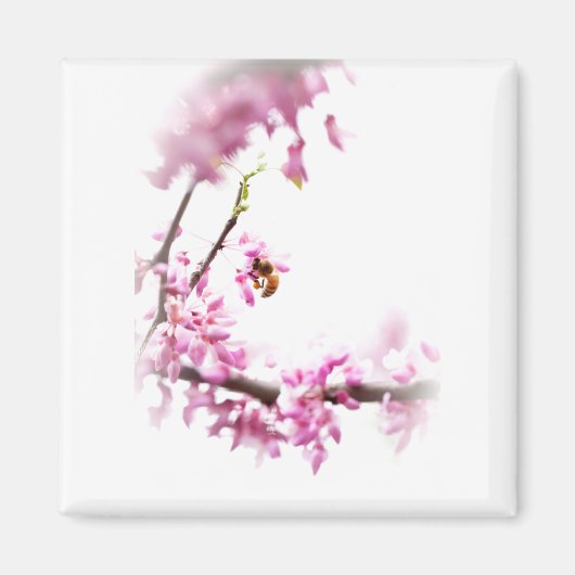 Aimant Redbud et abeille de miel-8742 (Devant)