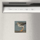 Aimant Redshank | Tringa Totanus (In Situ (Lave-vaisselle))