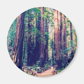Aimant Redwoods Californie