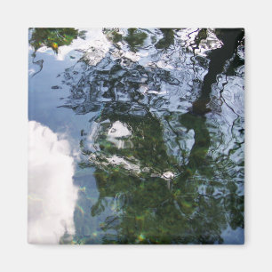 Aimant Réflexion dans l'aimant de l'étang d'esturgeon