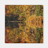 Aimant Réflexion d'automne sur Coffin Pond (Devant)