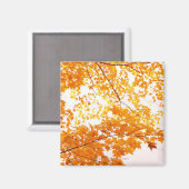 Aimant Réflexion des feuilles automnales (Recto/Verso)