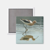 Aimant Réflexion des oiseaux au lac Mono (Recto/Verso)