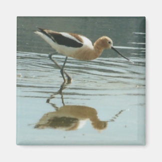 Aimant Réflexion des oiseaux au lac Mono