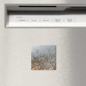 Aimant Réflexions de l'aimant d'automne (In Situ (Lave-vaisselle))
