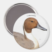 Aimant Réflexions d'un canard à ongles du Nord (Recto/Verso)