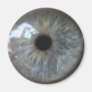 Aimant Réfrigérateur