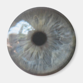 Aimant Réfrigérateur