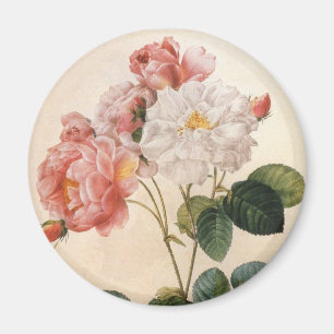 Aimant Réfrigérateur à fleurs de rose rose Vintage