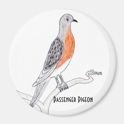 Aimant Réfrigérateur à pigeon passager (Devant)