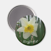 Aimant Réfrigérateur Daffodil (Recto/Verso)