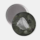 Aimant Réfrigérateur de débit de Rose de marais magnétiqu (Recto/Verso)