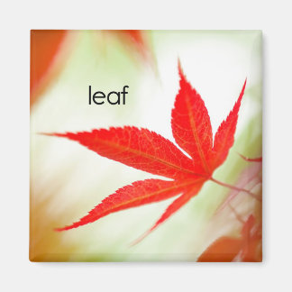 Aimant Réfrigérateur de feuilles