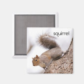 Aimant Réfrigérateur d'écureuil (Recto/Verso)