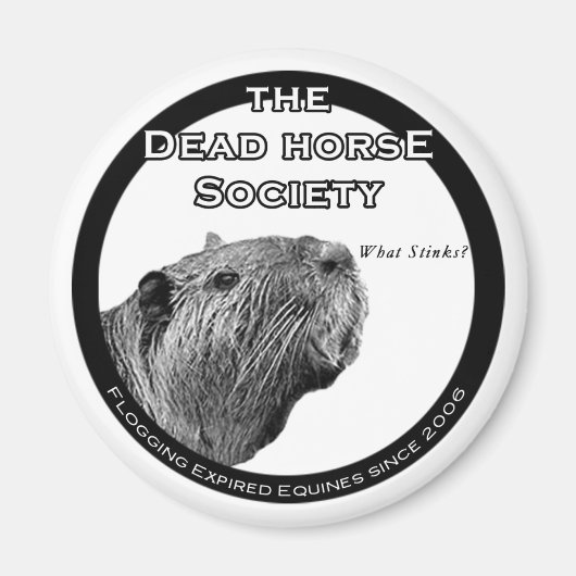 Aimant Réfrigérateur DHS (Devant)