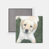 Aimant Réfrigérateur du Labrador jaune (Recto/Verso)