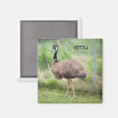 Aimant Réfrigérateur Emu (Recto/Verso)