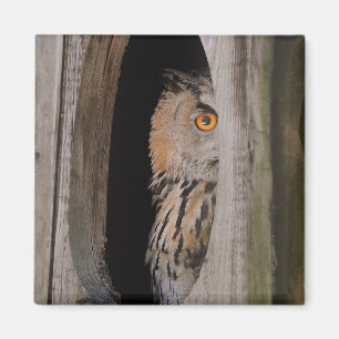 Aimant Réfrigérateur Lover-Owl de Pékin