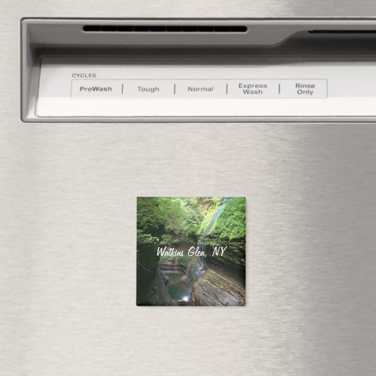 Aimant Réfrigérateur Watkins Glen (In Situ (Lave-vaisselle))