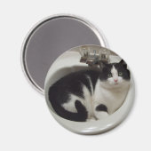 Aimant régal Amoureux des chats (Recto/Verso)