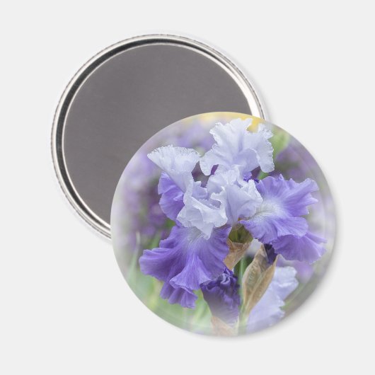 Aimant Regal Beares Iris - Violet & Blanc (Recto/Verso)