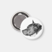 Aimant regard de compagnon loyal (Recto/Verso)
