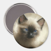 Aimant Regard D'Innocence Siamese Kitten Portrait (Recto/Verso)