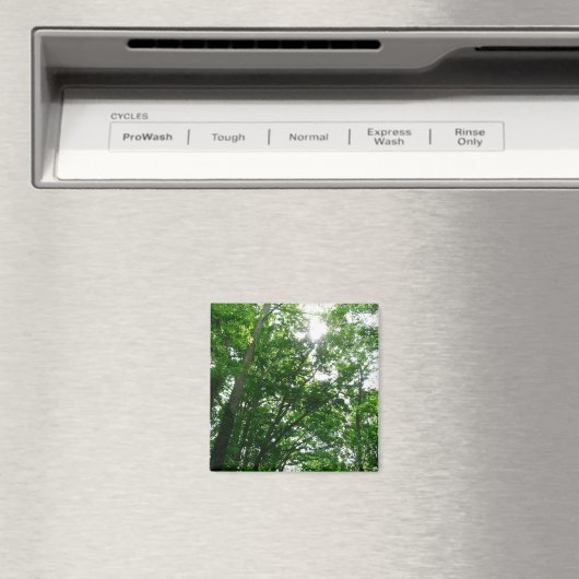 Aimant Regard sur les arbres d'été (In Situ (Lave-vaisselle))
