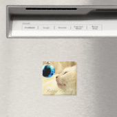 Aimant Regard Sur Une Étoile Bleue (In Situ (Lave-vaisselle))