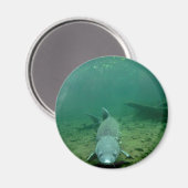 Aimant Regarde Monster (Recto/Verso)