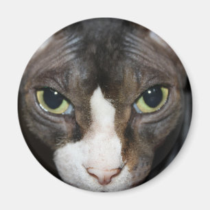 Aimant Regarder fixement vous