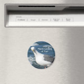 Aimant : Regarder une Goéland (In Situ (Lave-vaisselle))