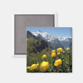 Aimant Région de Jungfrau (Recto/Verso)
