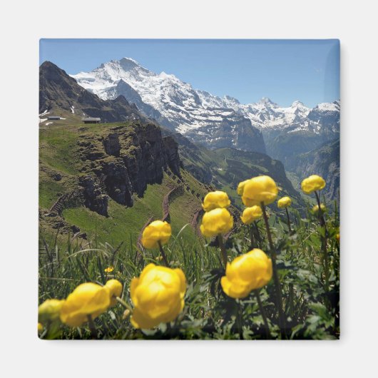 Aimant Région de Jungfrau (Devant)