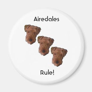 Aimant Règle d'Airedales !