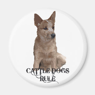 Aimant Règle de chiens de bétail