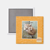 Aimant Règle de Kitteh #231 (Recto/Verso)