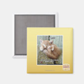 Aimant Règle de Kitteh #231 (Recto/Verso)